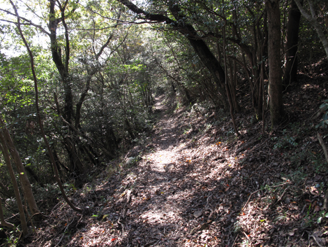 20131116hike (204)